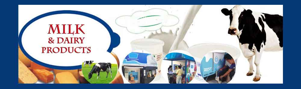 milk Dairy management System lans info system pimpri
